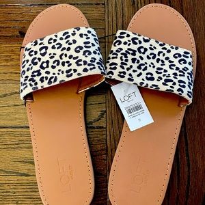 NWT - Women’s (Loft) Size 9